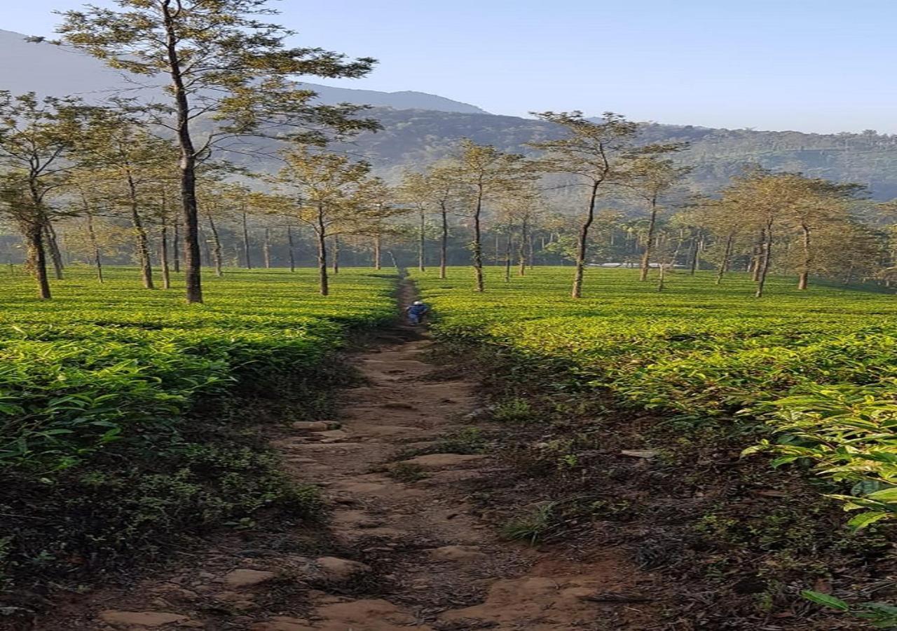 Glad Valley Wayanad By Lexstays-Tea Estate Villa Εξωτερικό φωτογραφία