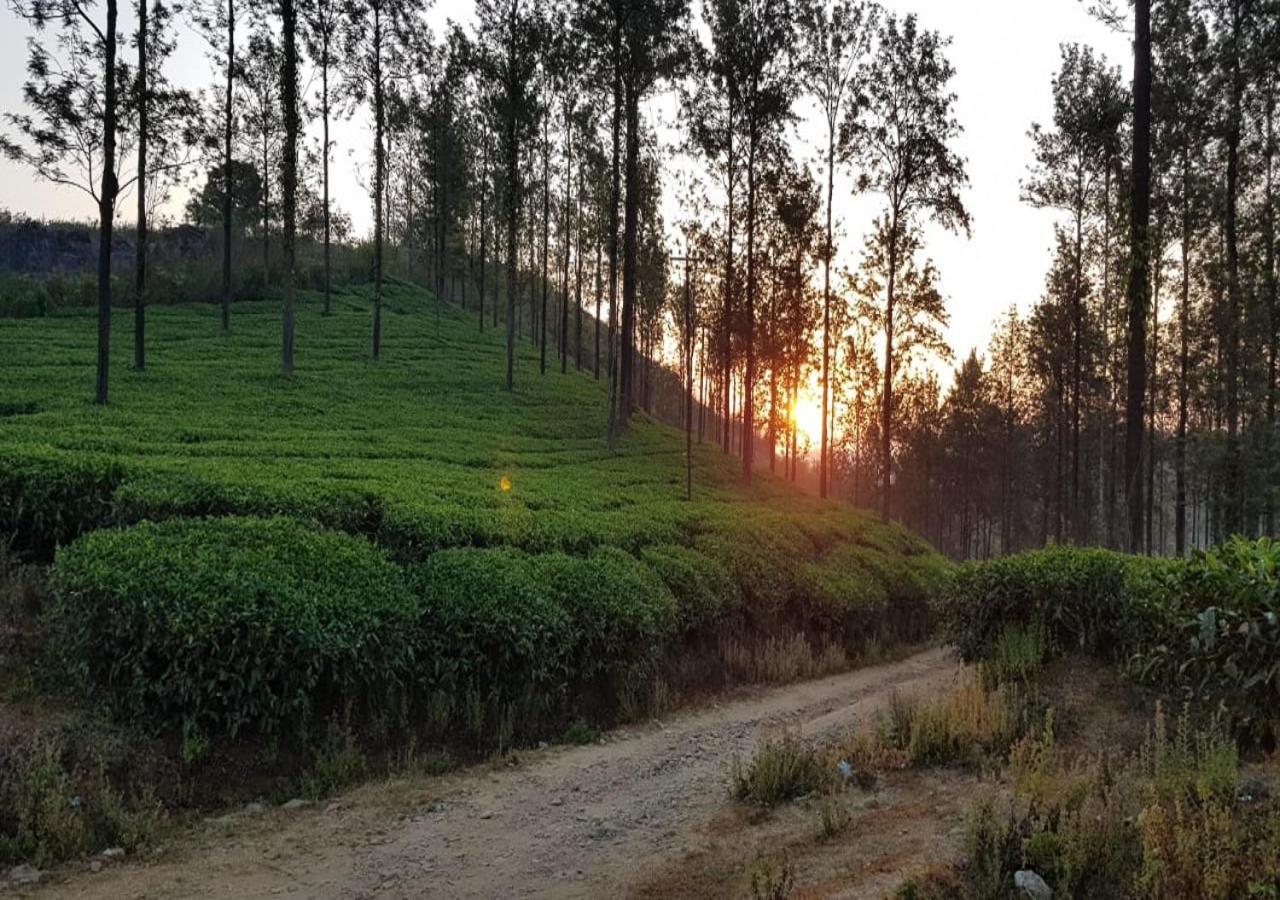 Glad Valley Wayanad By Lexstays-Tea Estate Villa Εξωτερικό φωτογραφία
